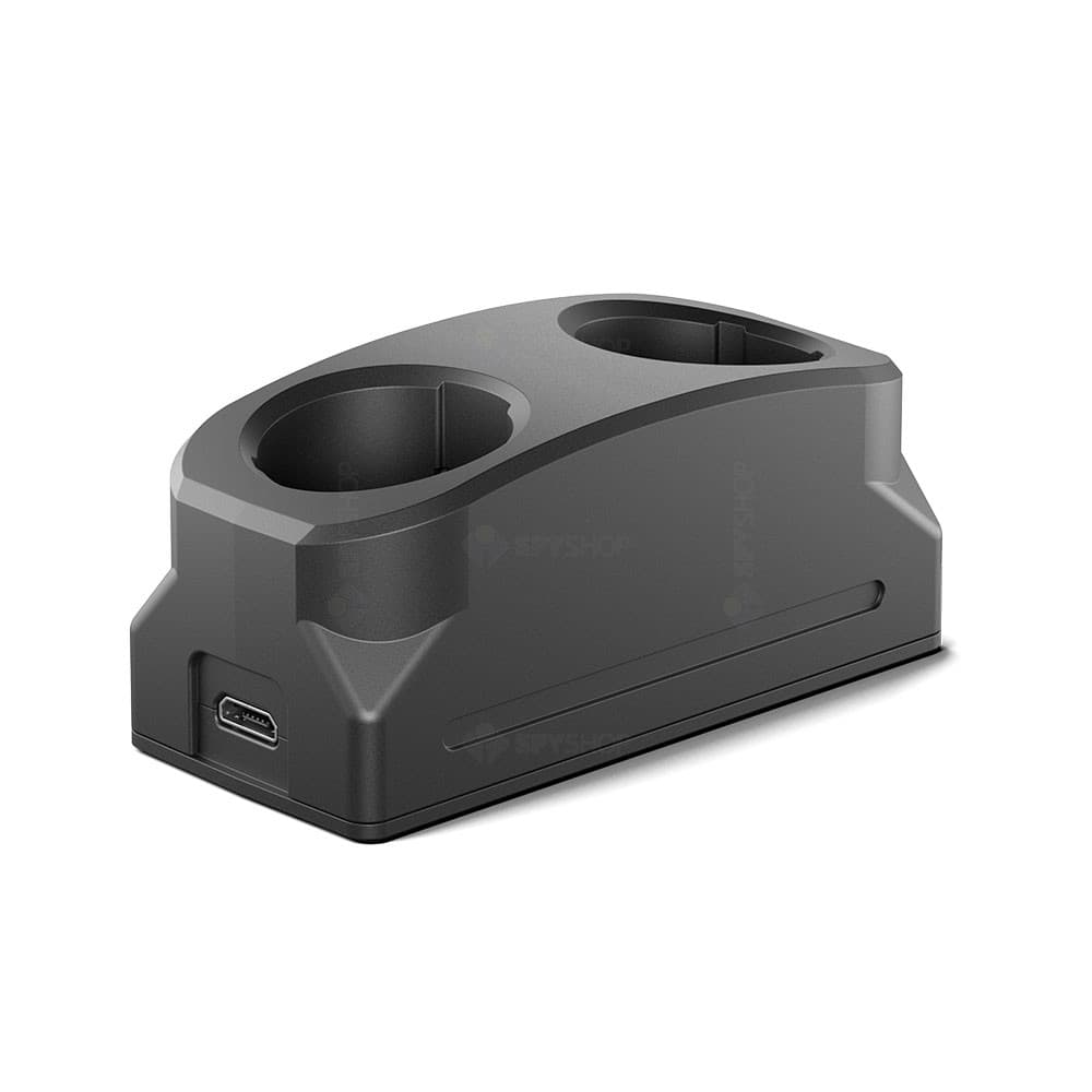 Statie de incarcare pentru acumulator Axion Pulsar APS 79165