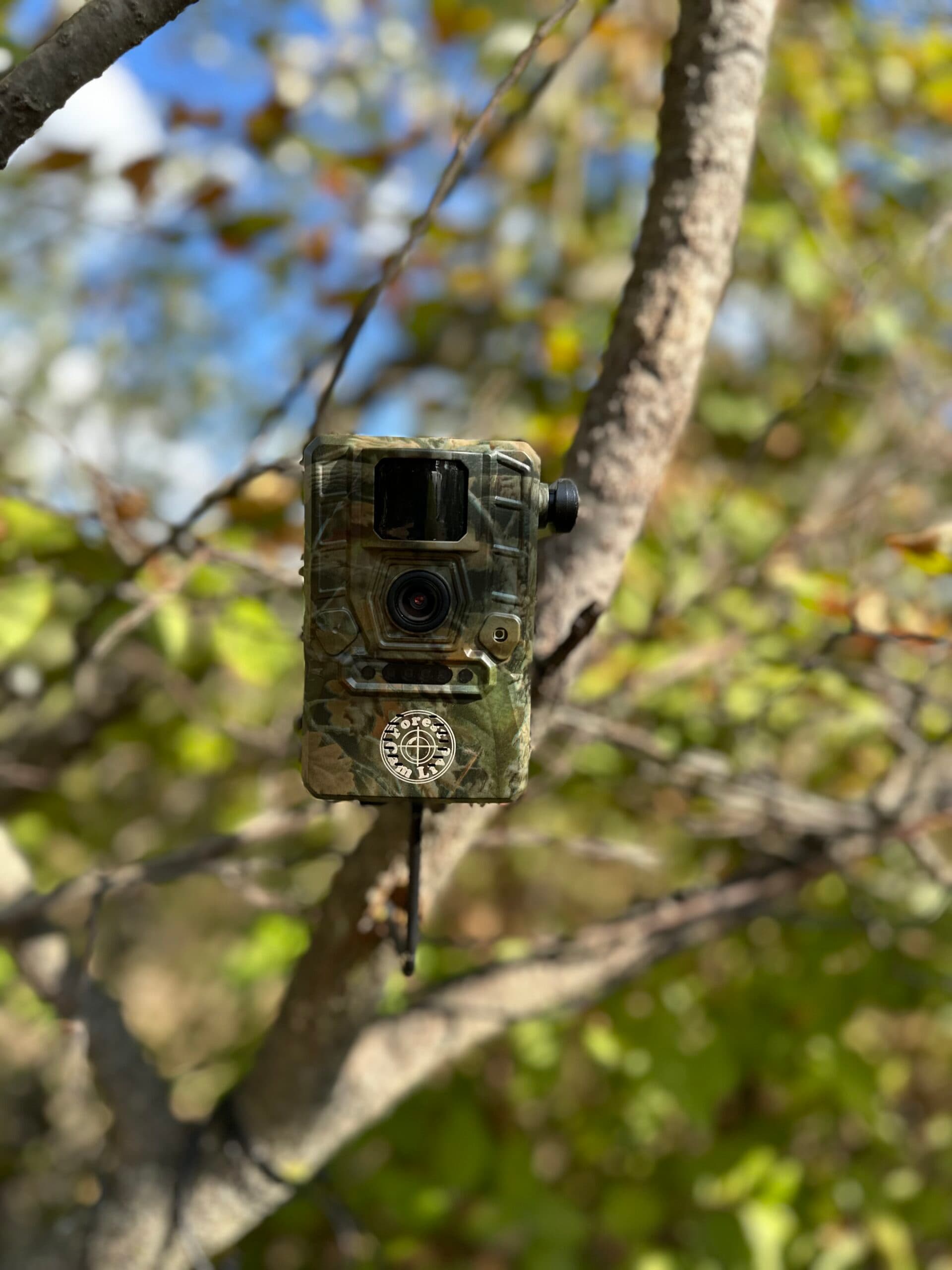 Camera monitorizare ForestCamLive F3GPS cu panou solar — 4