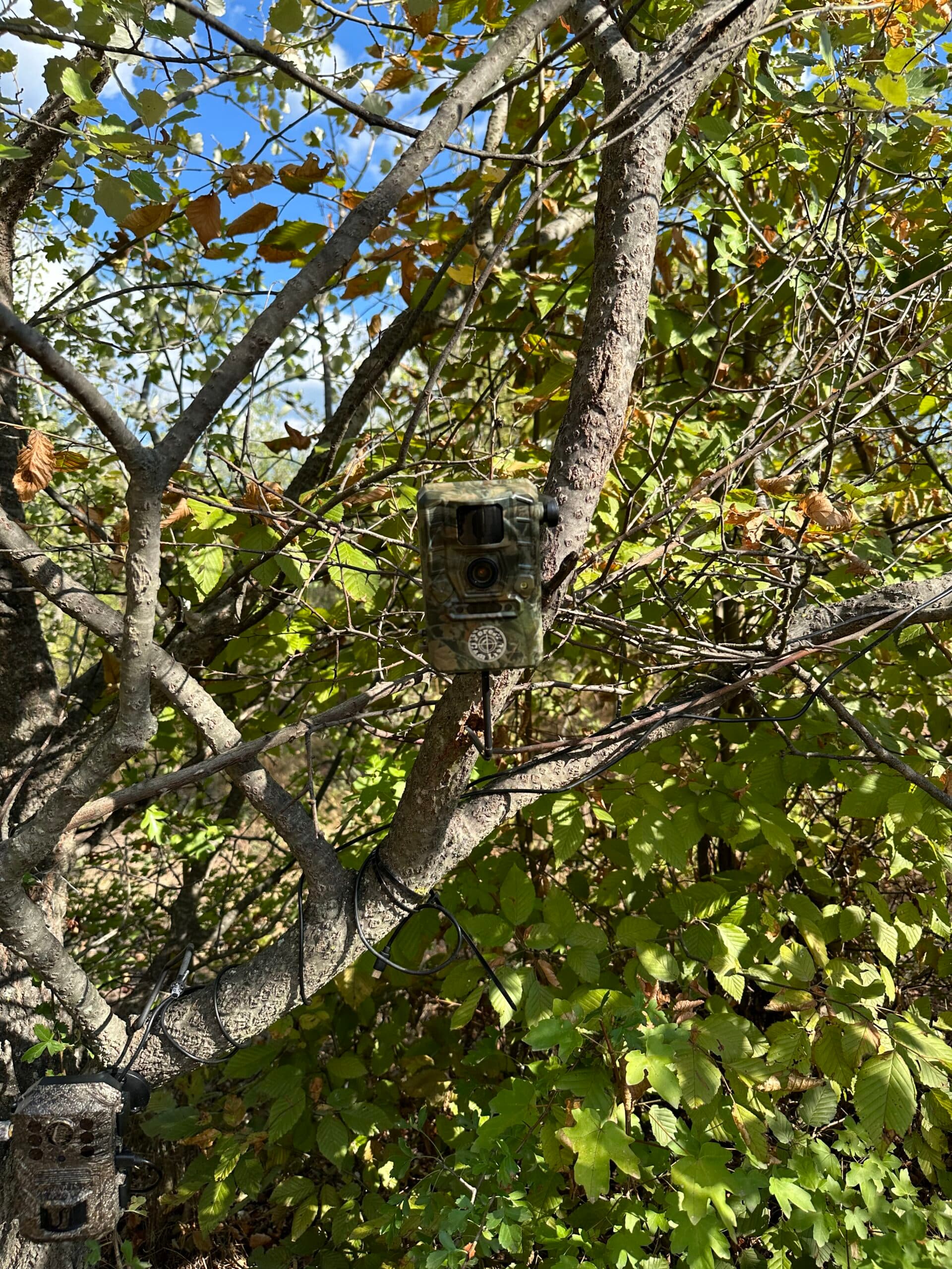 Camera monitorizare ForestCamLive F3GPS cu panou solar — 5