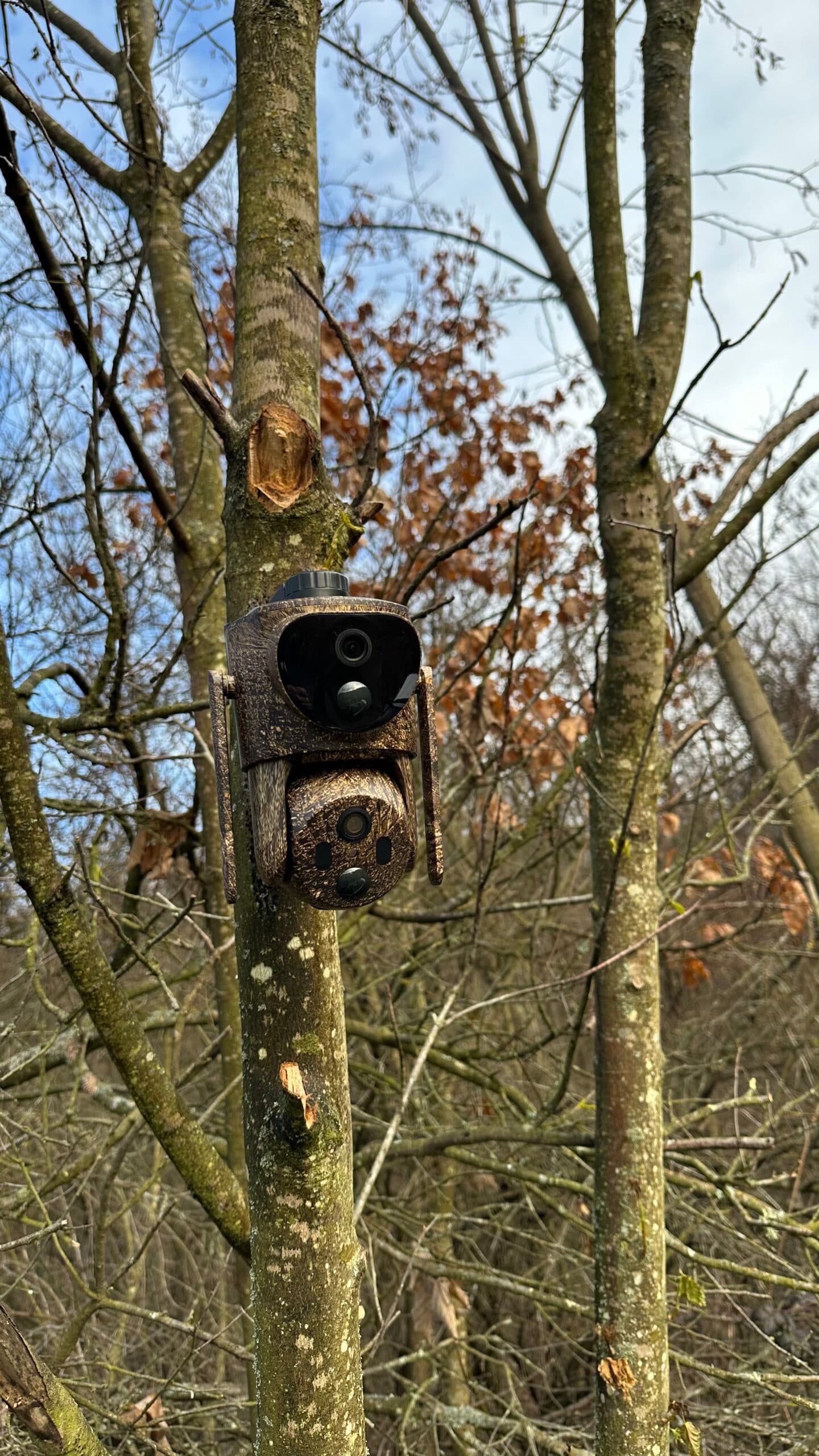 ForestCamLive F7Gps — 5