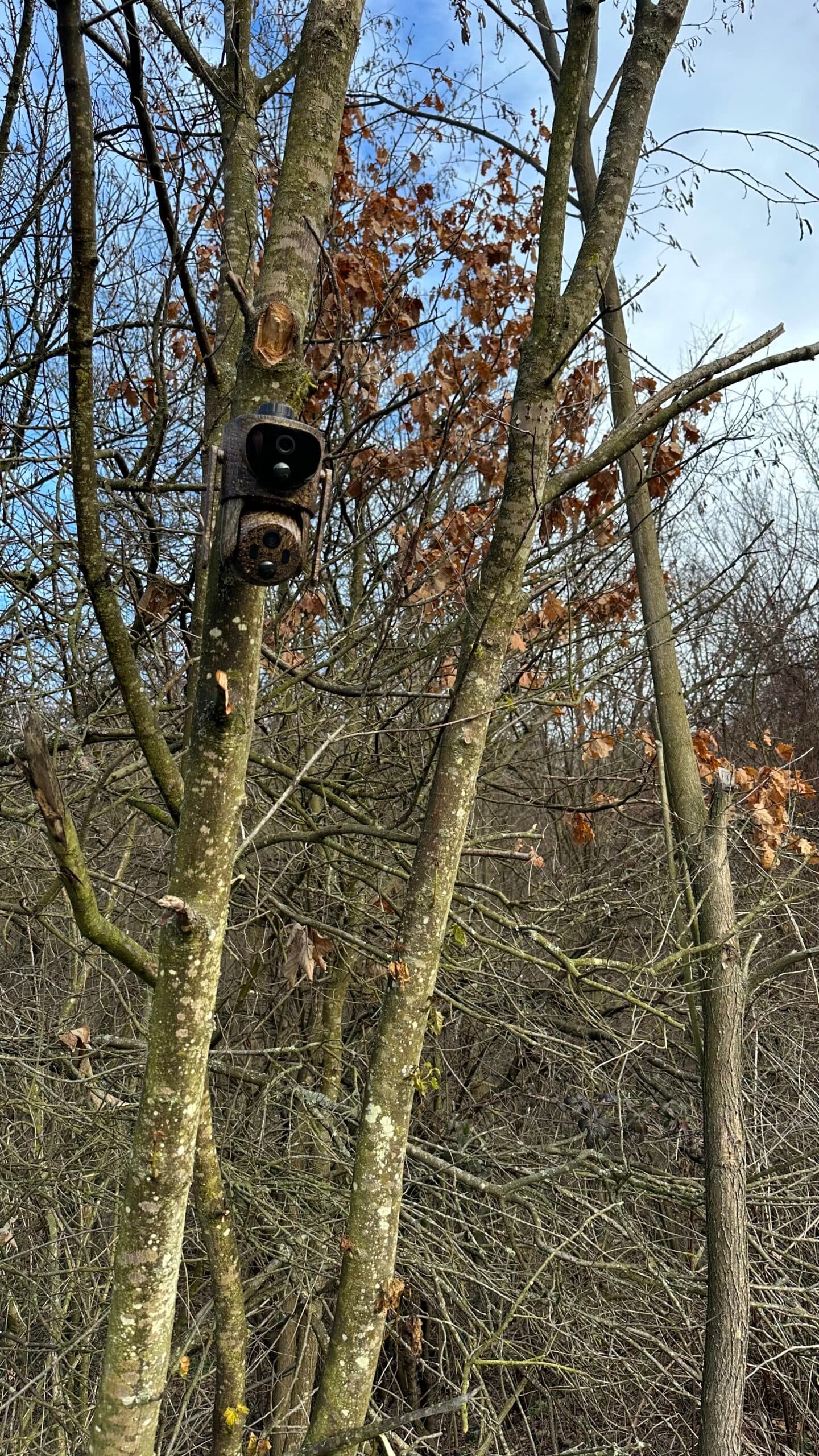 ForestCamLive F7Gps — 4