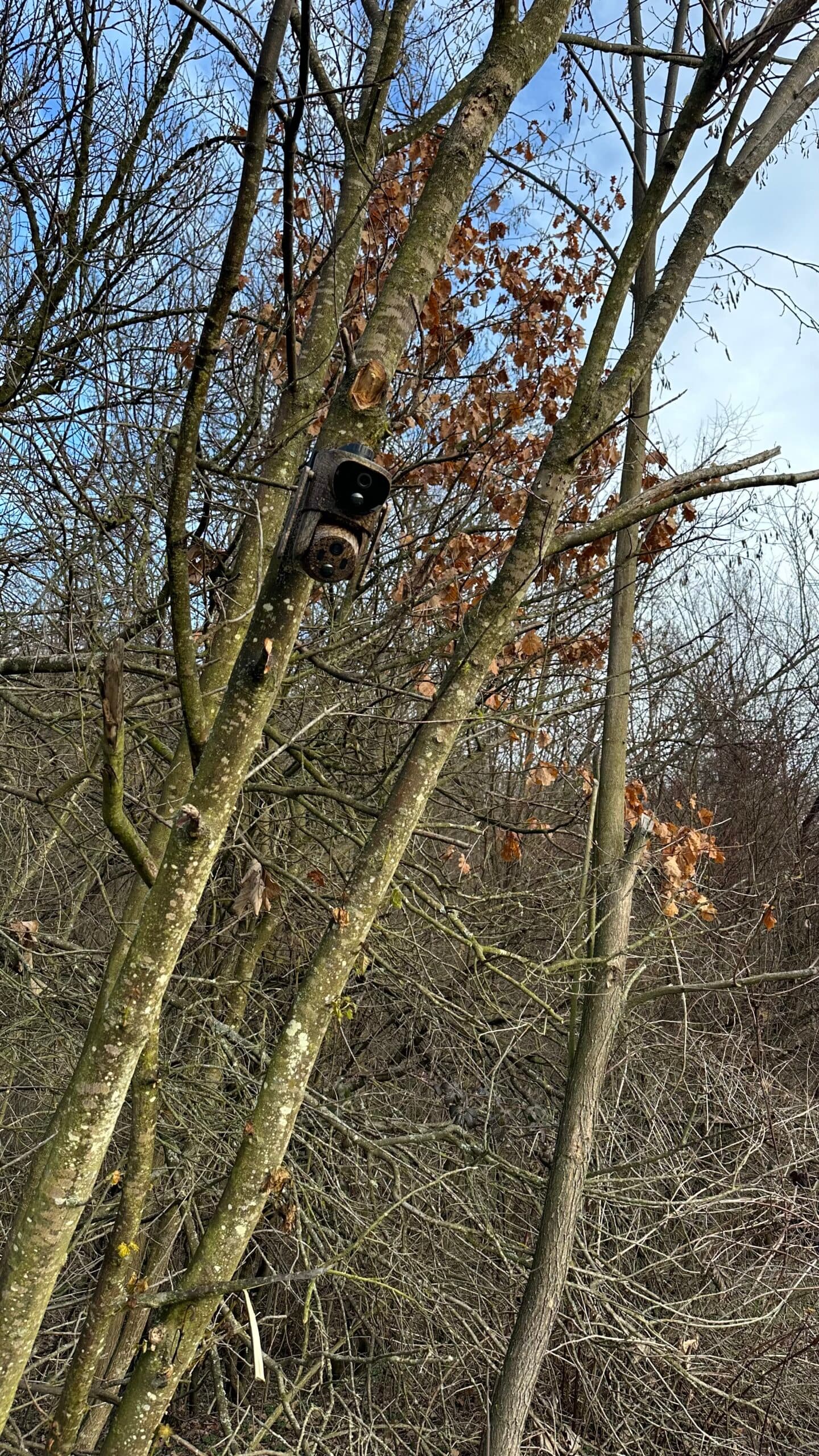 ForestCamLive F7Gps — 2