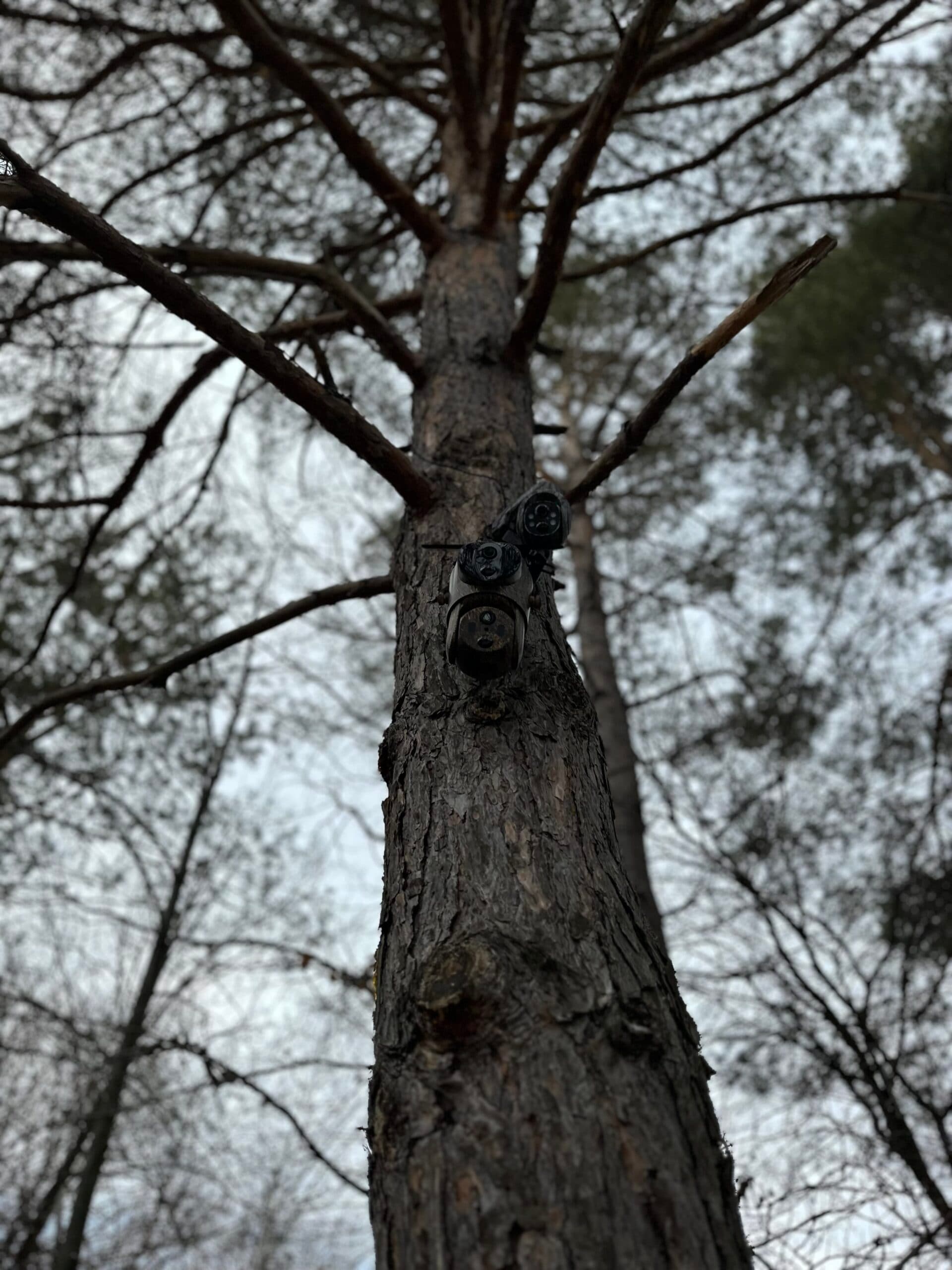 ForestCamLive F7Gps — 3