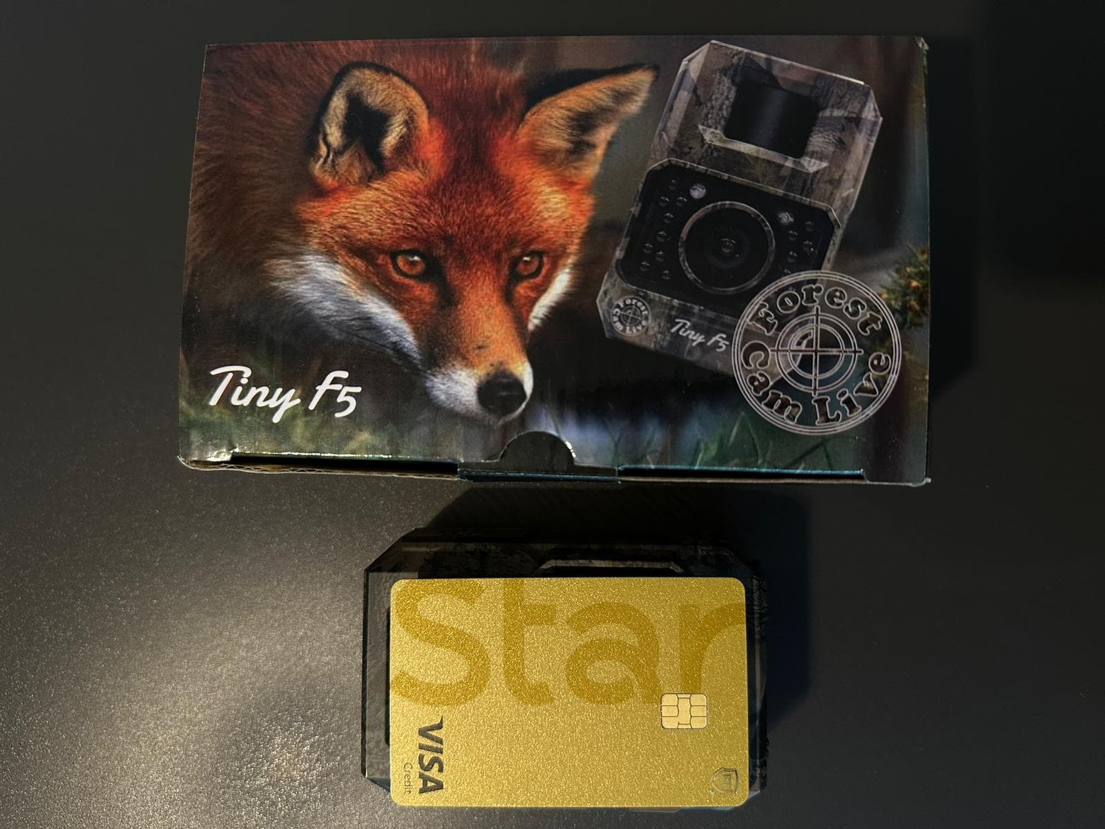 ForestCamLive F5 Tiny — 1