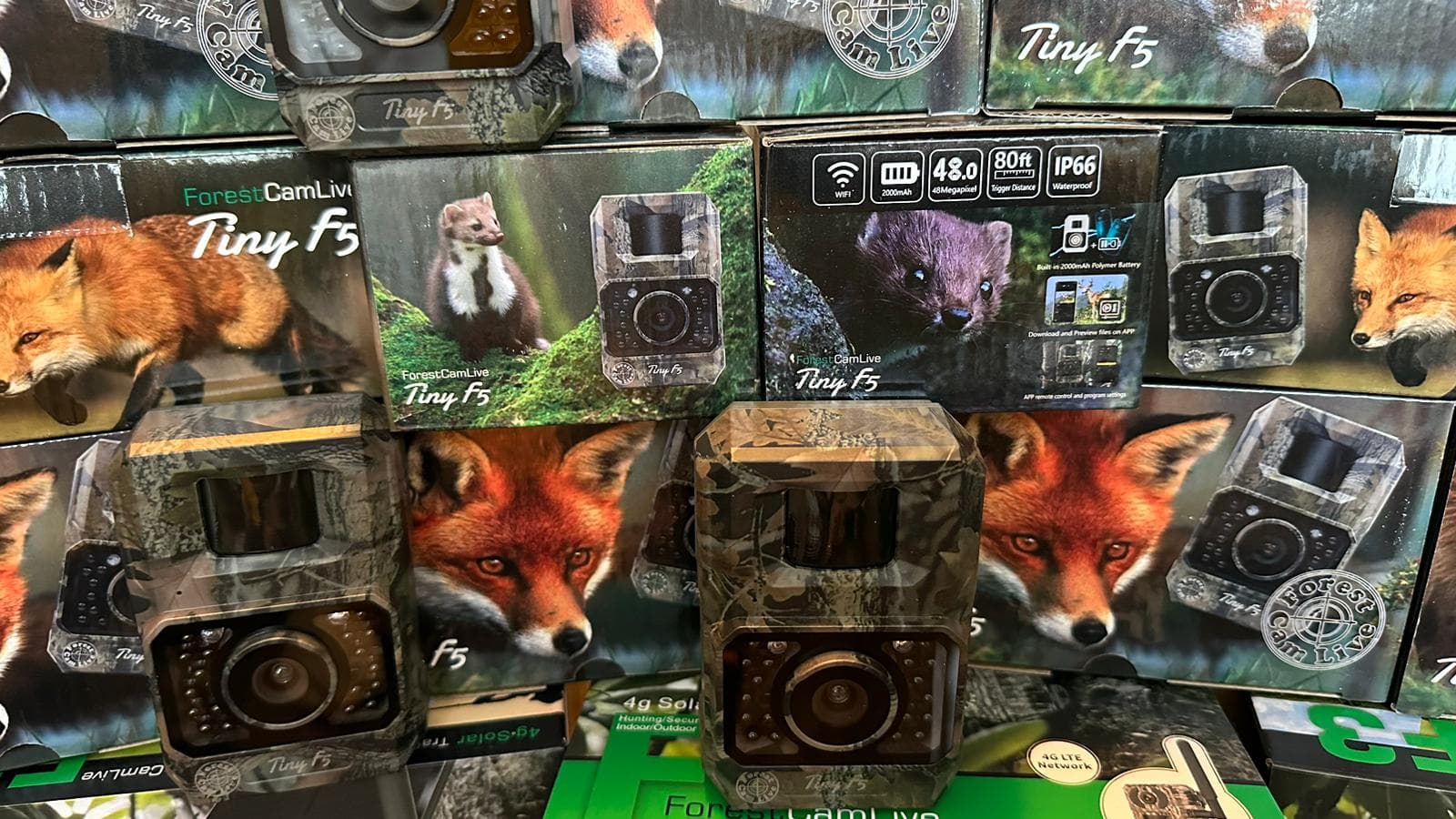 ForestCamLive F5 Tiny — 3