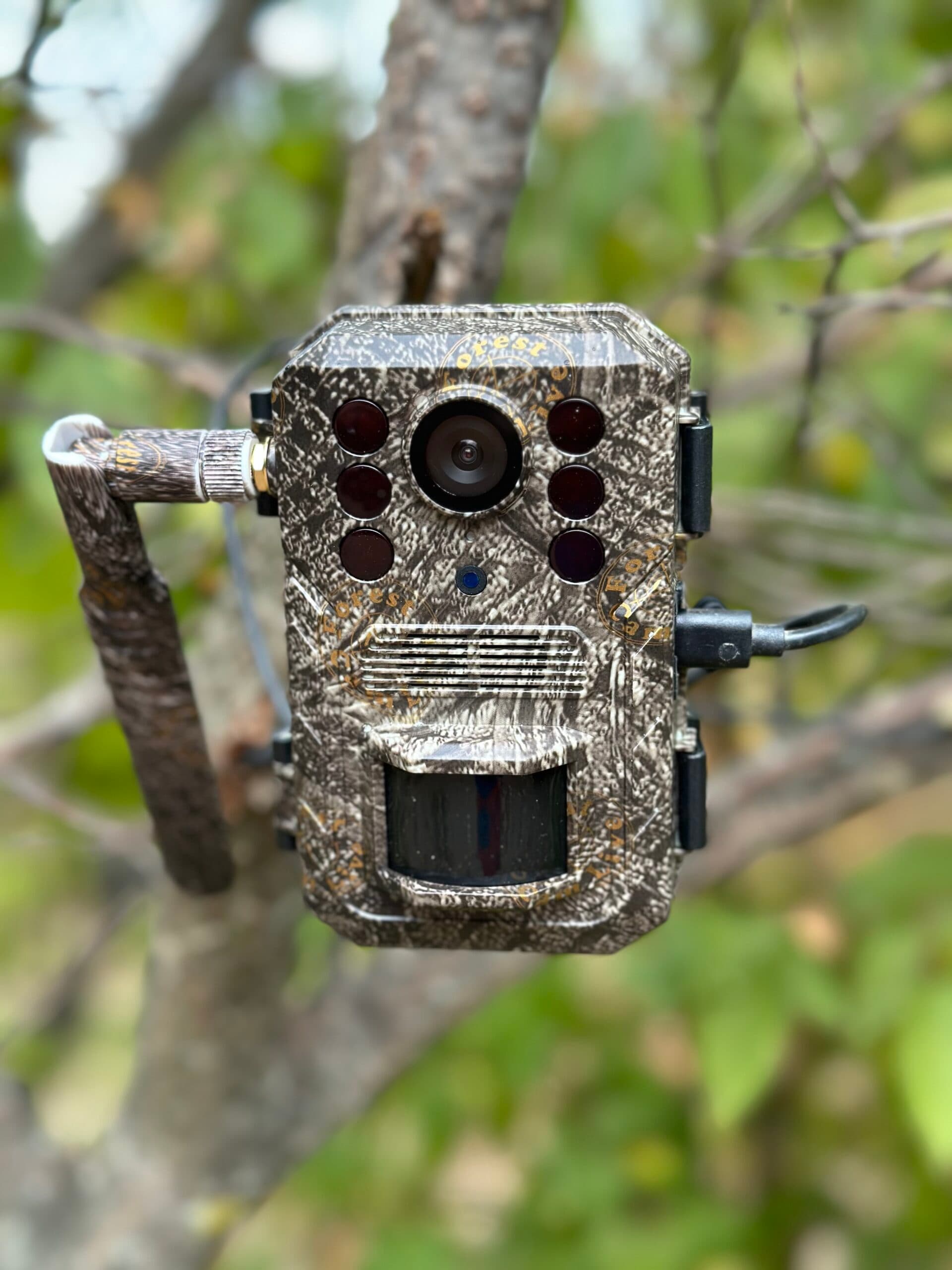 Camera monitorizare ForestCamLive F6 cu panou solar — 4